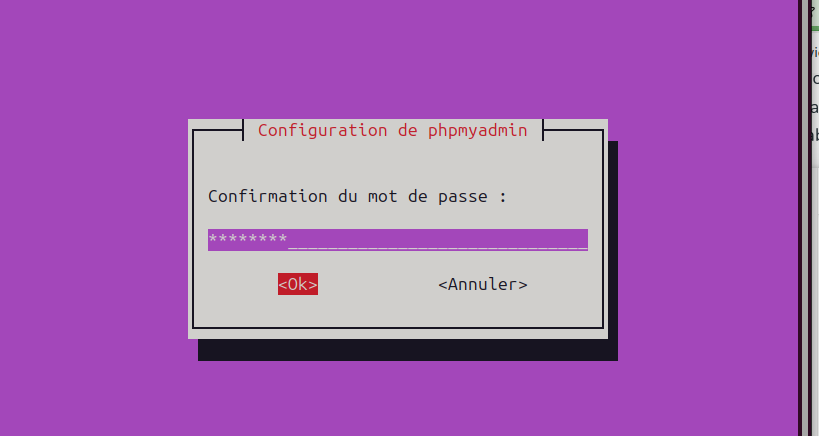 phpmyadmin